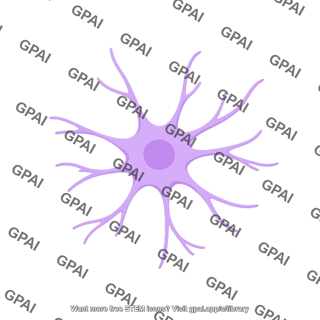 Dendritic cell follicular 02