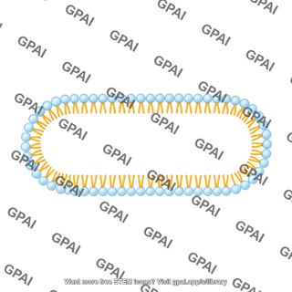 Membrane brush pill shape