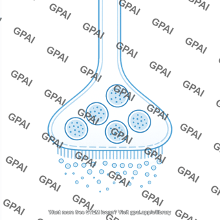 Pre synaptic membrane brush vesicle 2