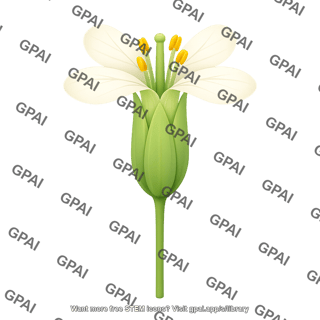 Arabidopsis flower 830