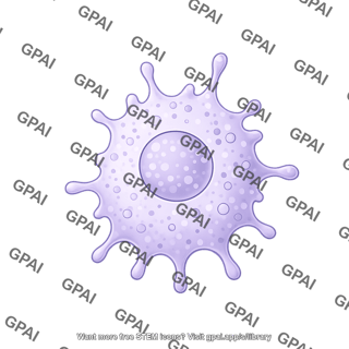 Macrophage perivascular round 01