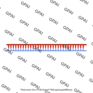 Unwound ssdna brush straight