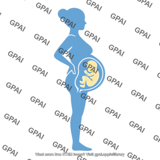 Person symbol pregnant with fetus