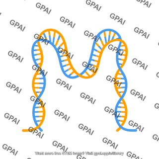 Simplified dsdna brush m shaped
