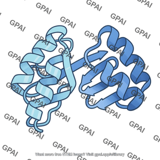 Phosphofructokinase 1
