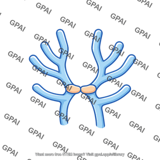 Vascular endothelial growth factor