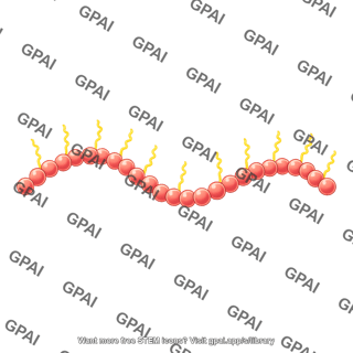 Actin dimer brush wavy 3