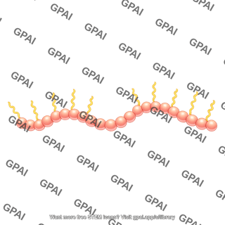 Actin dimer brush filament wavy 2