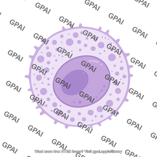 Natural killer cell 01