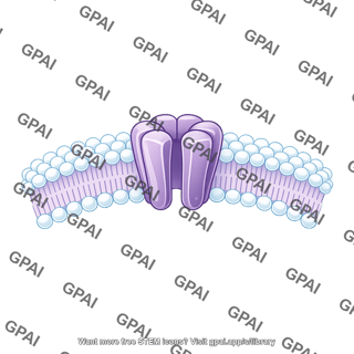 Ion channel in membrane brush simple wavy 2