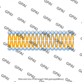 Membrane brush preset