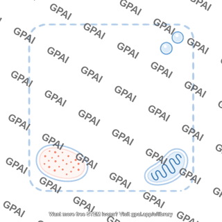Shape square editable