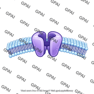 Ion channel in membrane brush simple large arc
