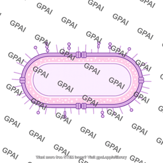 Bacteria membrane brush gram negative coccobacillus