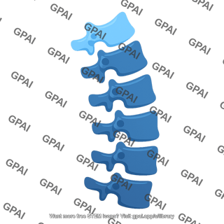 Spine