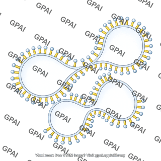 Membrane brush vesicle shape 6