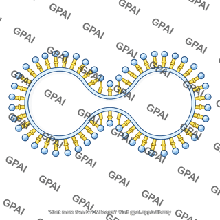 Membrane brush vesicle shape 5