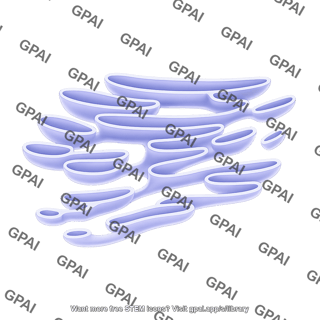Smooth endoplasmic reticulum brush preset