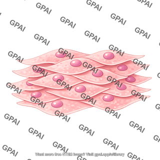 Stacked squamous cells brush wavy