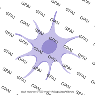 Dendritic cell immature