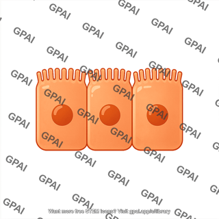 Luminal epithelial cell brush preset