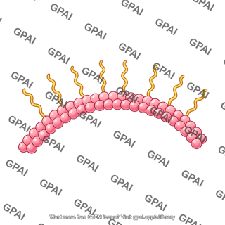 Actin brush simplified wavy
