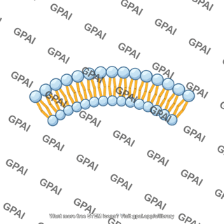 Membrane brush small arc