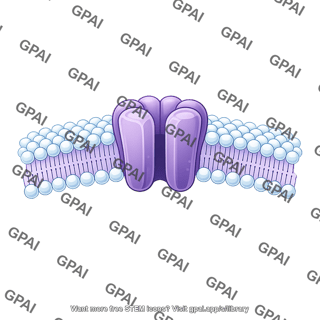 Ion channel in membrane brush simple small arc
