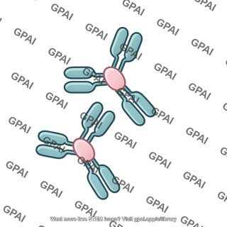 Placenta growth factor