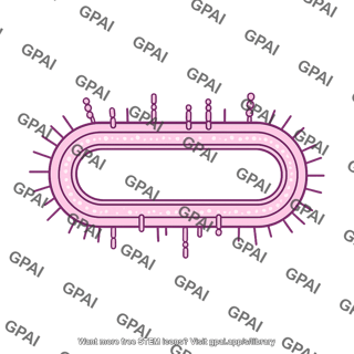 Bacteria membrane mycobacteria preset