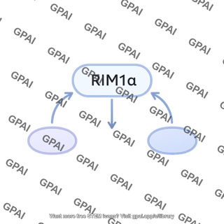 Rim1a pathway 486