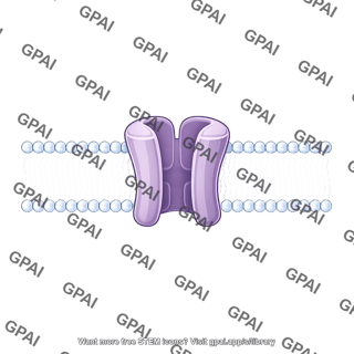 Ion channel in membrane brush straight