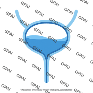 Bladder female symbol