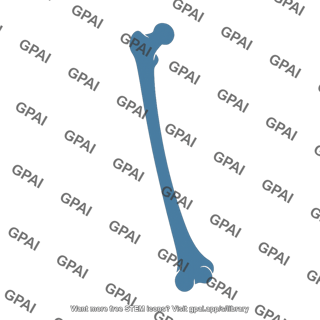 Femur symbol 223