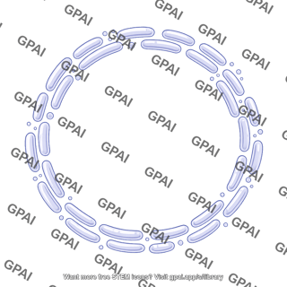 Smooth endoplasmic reticulum brush small circle