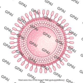 29 bacterial outer membrane brush vesicle 3 742