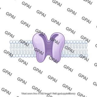 Ion channel in membrane brush simple straight