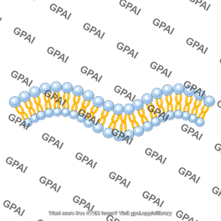 Membrane brush wavy