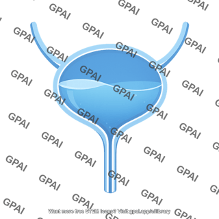 Bladder male symbol