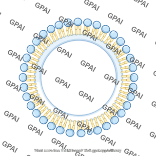 Membrane brush small circle