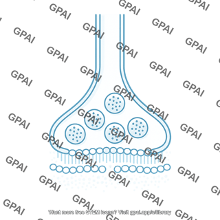 Pre synaptic membrane brush vesicle 1