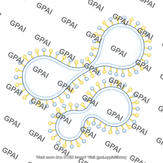 Membrane brush vesicle shape 8