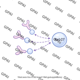 Rab27 pathway 991