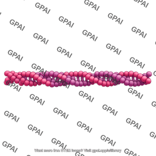 Tau protein filament straight