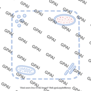 Shape dotted square 1 editable