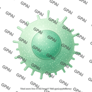 T cell 3d