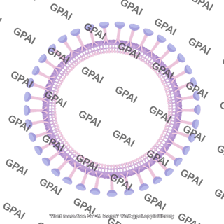 34 bacterial outer membrane brush 2 circular 22