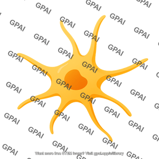 Langerhans cell 1