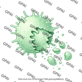 T cell squeezing 01