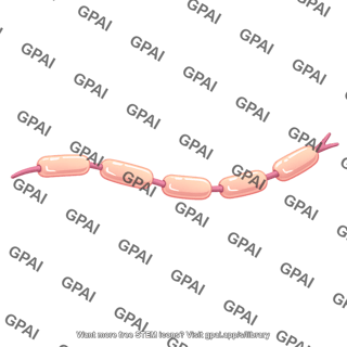 Axon brush myelinated preset 931